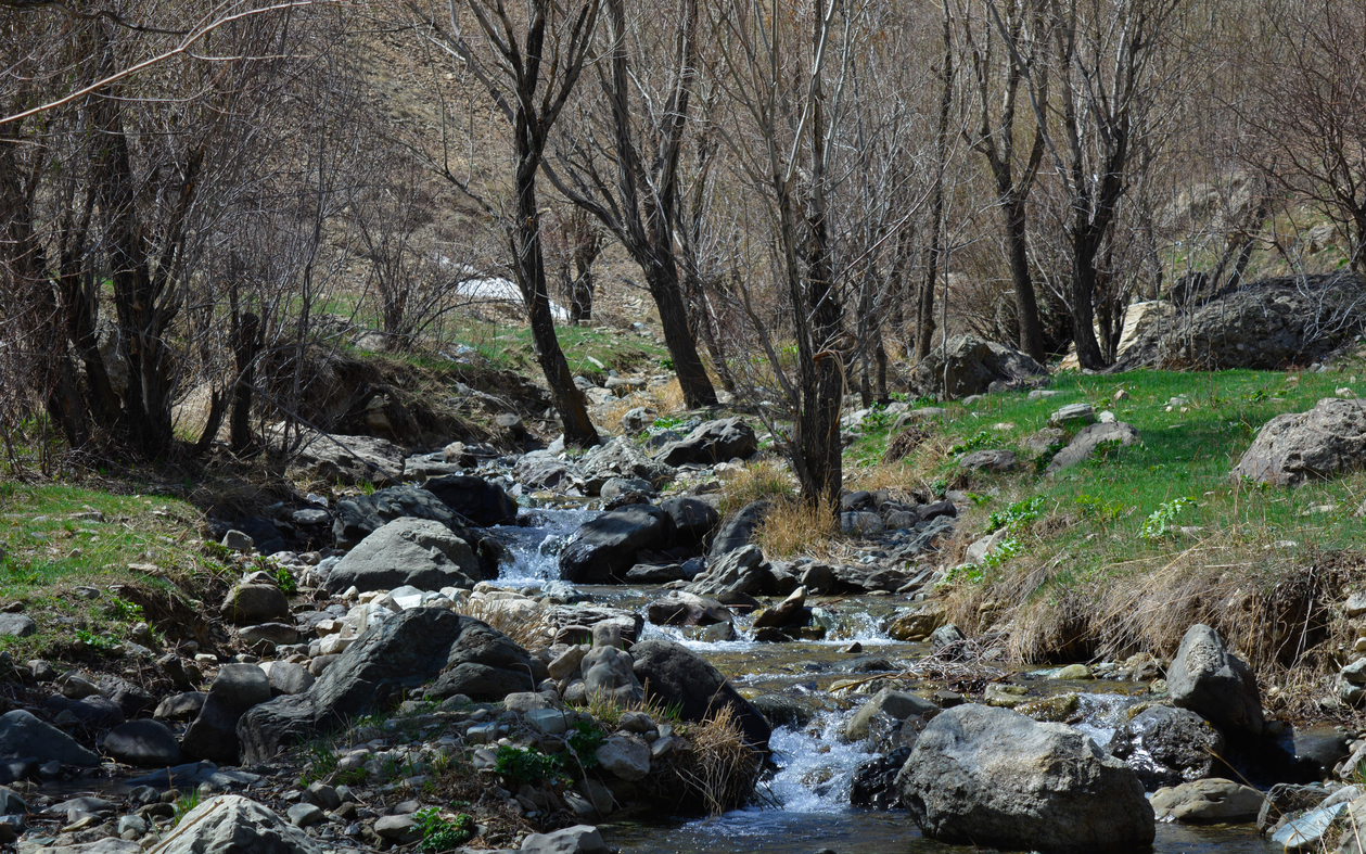 It`s a pleasure to have a picnic by the river.